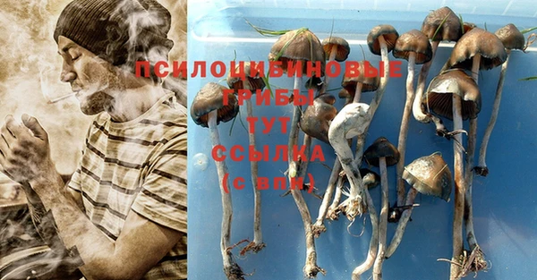 кокаин колумбия Алексин