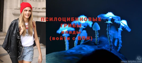 ГАЛЛЮЦИНОГЕННЫЕ ГРИБЫ Няндома