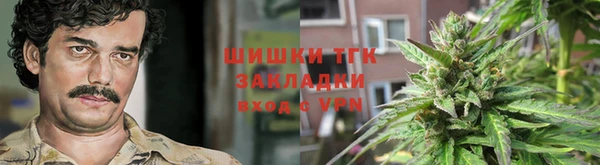 spice Алзамай
