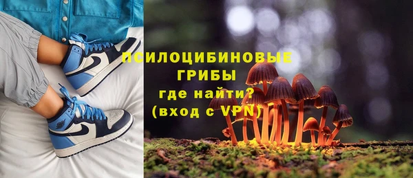 ГАЛЛЮЦИНОГЕННЫЕ ГРИБЫ Няндома