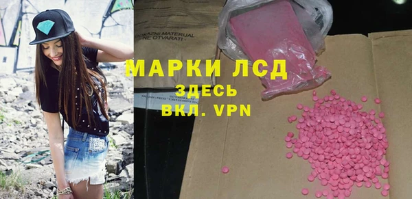 ГАЛЛЮЦИНОГЕННЫЕ ГРИБЫ Няндома