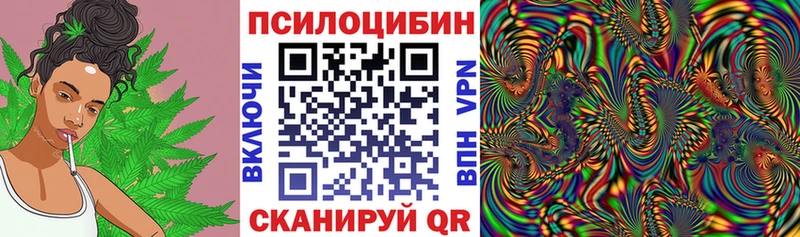 купить  сайты  Казань  Псилоцибиновые грибы Psilocybine cubensis 